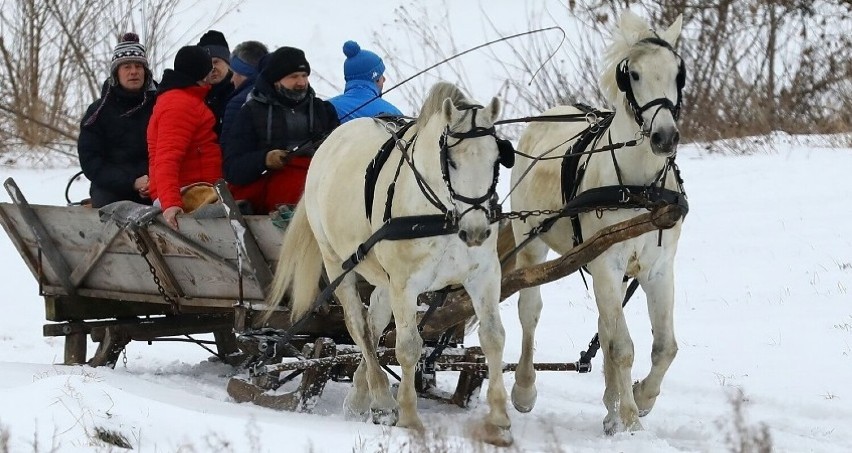 Kulig w Bogusławicach, powiat piotrkowski, 13.02.2021