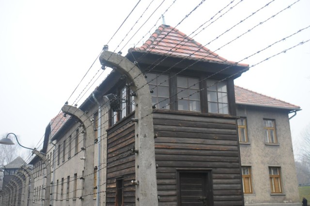 27.01.2018 aschwitz oboz
auschwitz  oboz koncetracyjny (druty slupy detale napisy)













 
fot: adam wojnar/polska press/gazeta krakowska