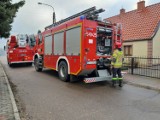 Pożar piwnicy domu w Szczecinku. Strażacy w akcji [zdjęcia]