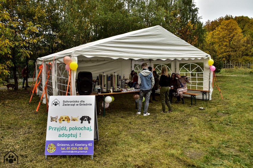 Schronisko dla zwierząt w Gnieźnie zorganizowało dzień otwarty