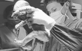Poruszające zdjęcia z porodówki Szpitala Kieleckiego świętego Aleksandra na Instagramie! Tak wyglądają pierwsze chwile życia dziecka