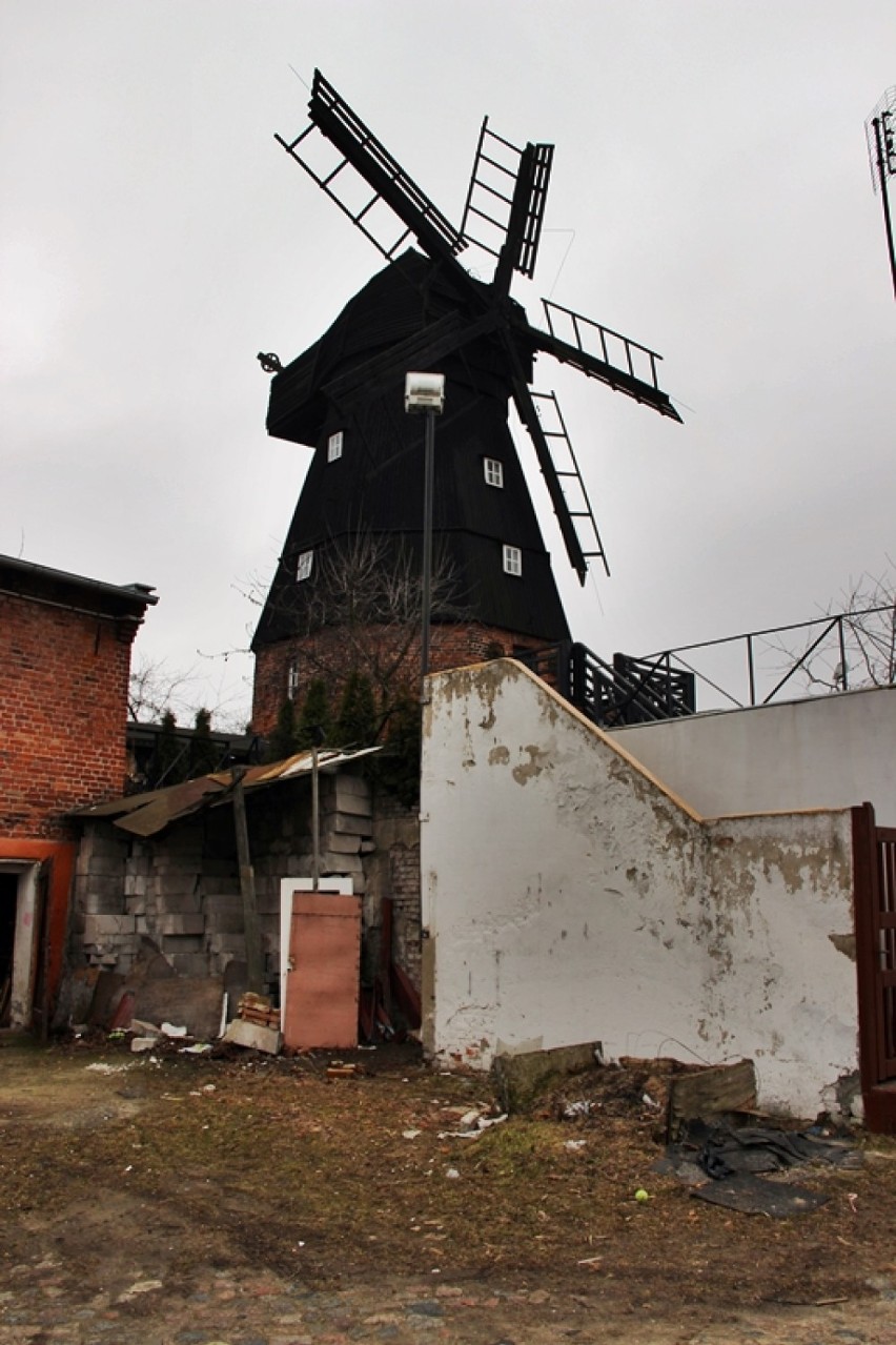 Wiatrak holenderski - niewiele miast w Polsce może się...