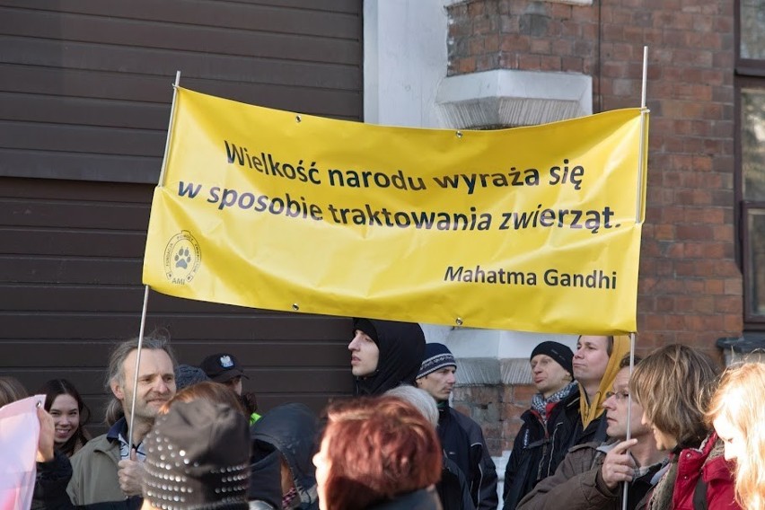 Druga demonstracja przeciw masowemu zabijaniu psów na Ukrainie [ZDJĘCIA]