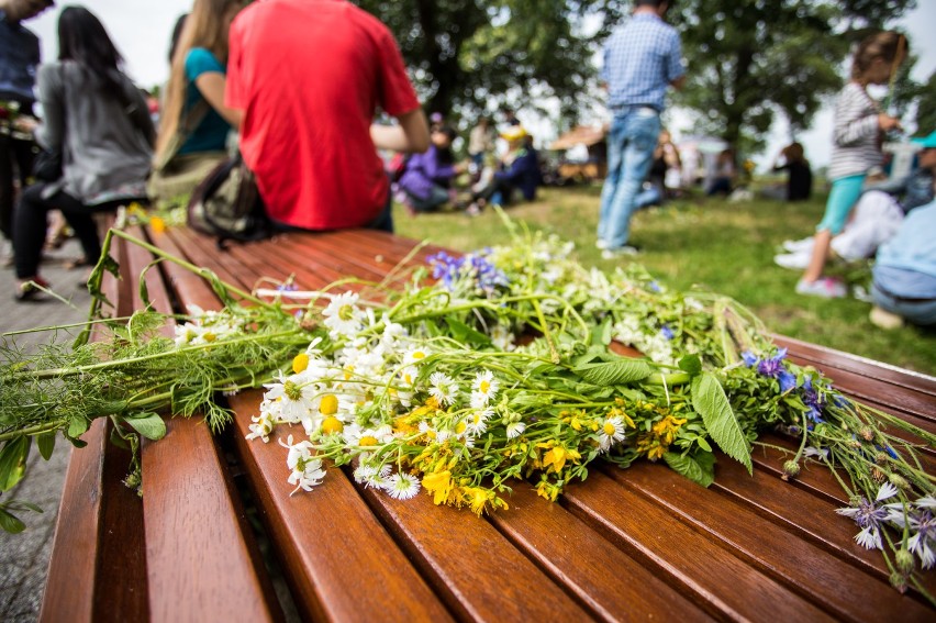 Piknik Świętojański, Warszawa 2017