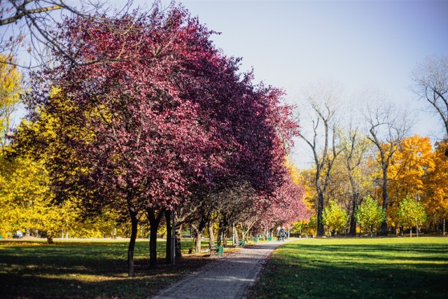 Park zachwyca przez cały rok, także jesienią, kiedy zaroi się tu od żółtych, pomarańczowych i czerwonych liści.