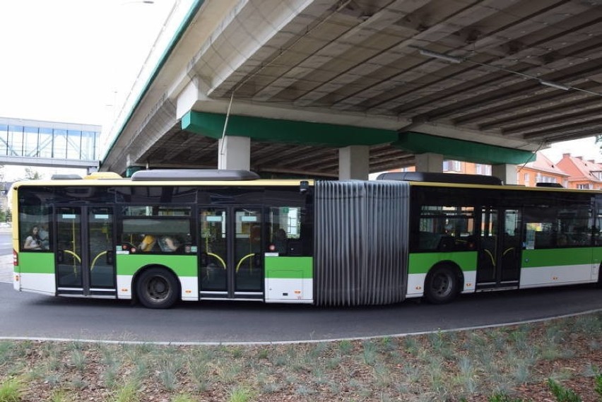 Każdego dnia z autobusów MZK korzysta tysiące zielonogórzan