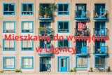 Mieszkania na wynajem w Legnicy są w bardzo przystępnych cenach. Zobaczcie co można wynająć już do 1500 zł