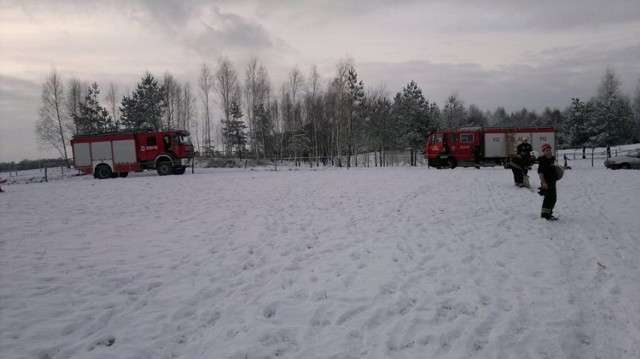 Ratowanie konia, który ugrzązł w bagnie w Koleczkowie