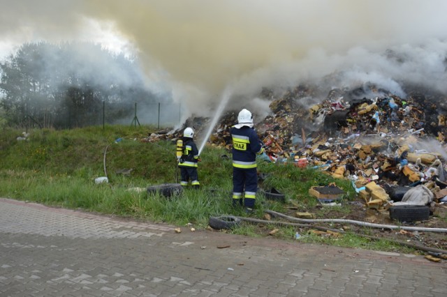 Długoszyn. Pożar sięgnął 1 tys.mkw. Gasiło go 12 zastępów straży pożarnej.