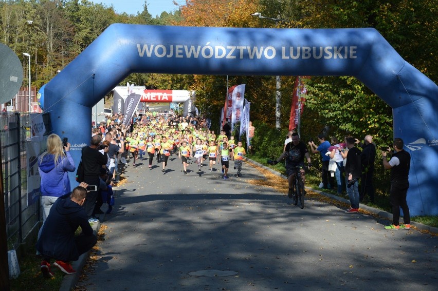 W niedzielę Żary były biegową stolicą województwa. W...