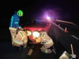 Niebezpieczne zdarzenie na DW 975 w Sukmaniu koło Wojnicza. Samochód uderzył w dzika, który wbiegł na drogę