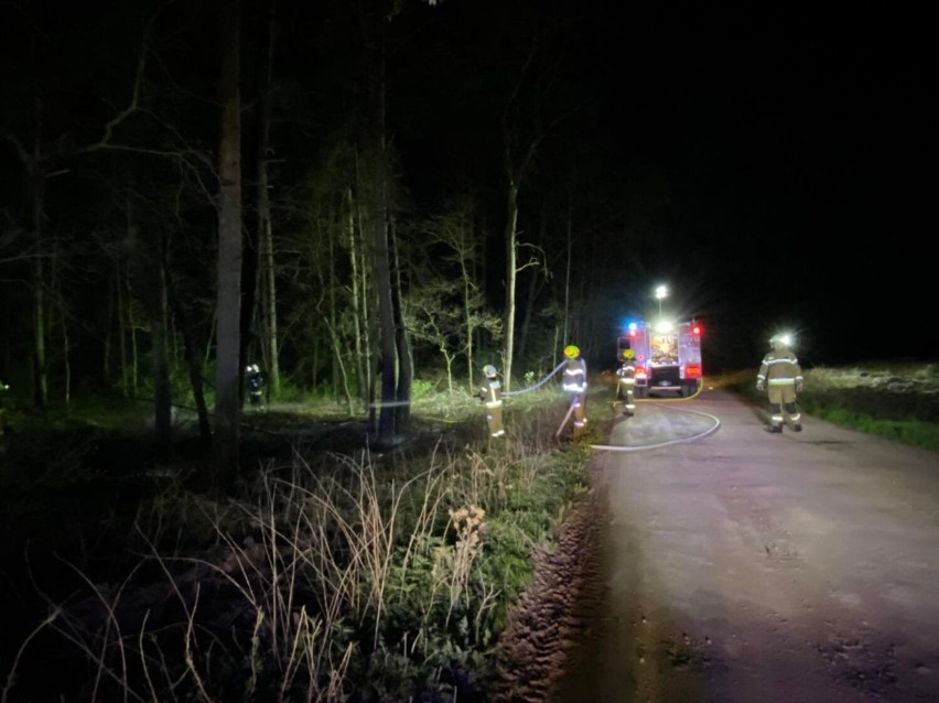 Pożar lasu na pograniczu Starego i Nowego Oleśca w gminie Chocz