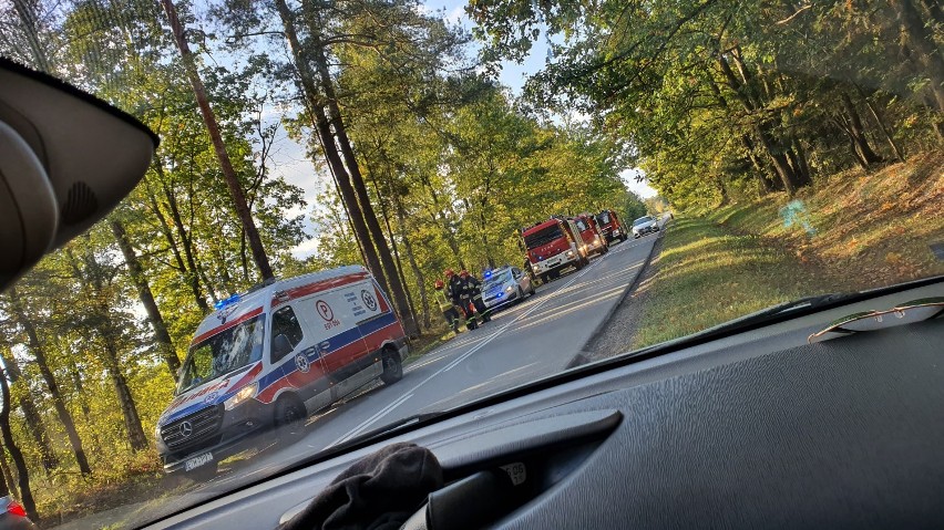 W Sługocicach na drodze nr 713 samochód osobowy uderzył w drzewo. Groźnie też na Modrzewskiego [ZDJĘCIA]