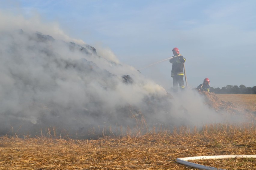 Pożar w Borczu 26-08-2015