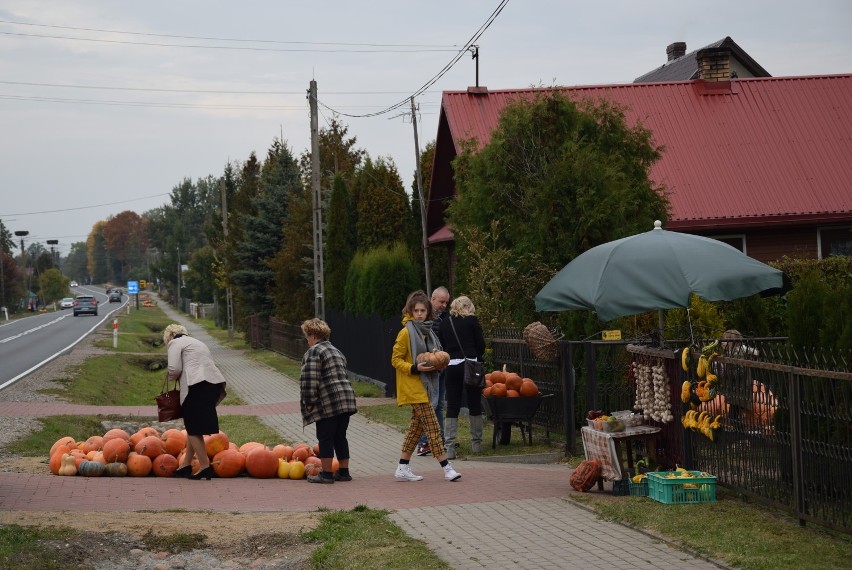 Przejeżdżając przez podlaską wieś Ryboły można być mocno...