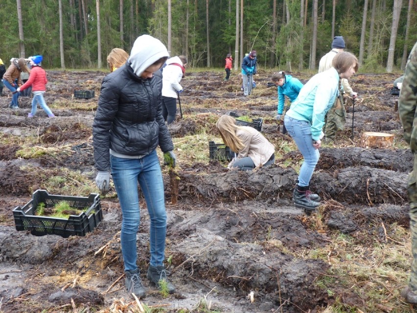 Uczniowie II LO w Radomsku posadzili las