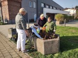 Uczniowie specjalnej szkoły pomagali w pracy pracowników Zieleni Miejskiej