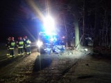 Chojniki: Samochód wypadł z drogi i rozbił się na drzewie [ZDJĘCIA]