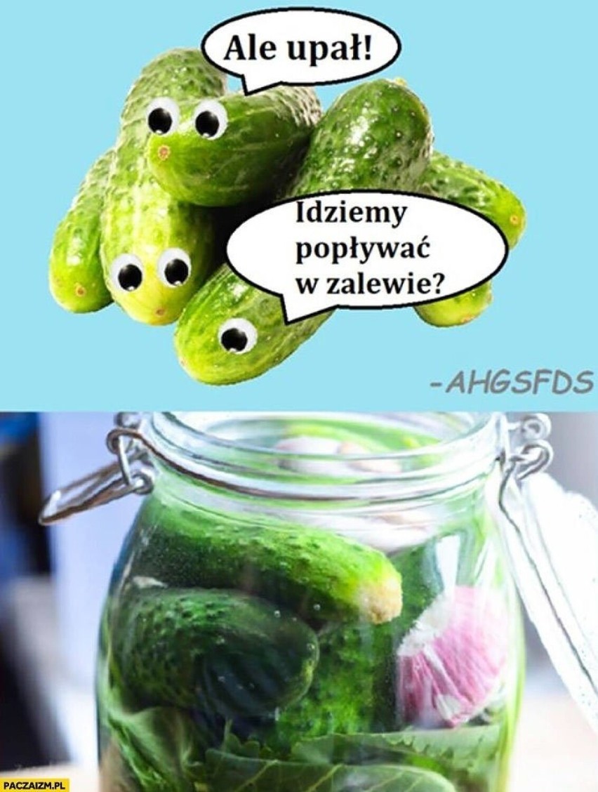 Uff! Jak gorąco. Upały nie oszczędzają mieszkańców naszego województwa. Zobacz najlepsze MEMY