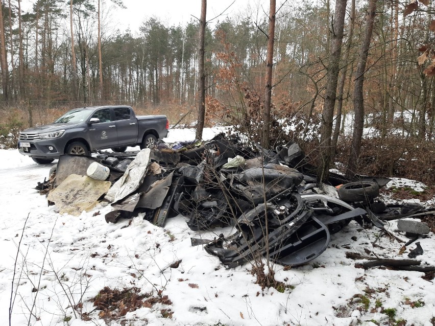 Nadleśnictwo Gniezno odkryło odpady samochodowe w lesie