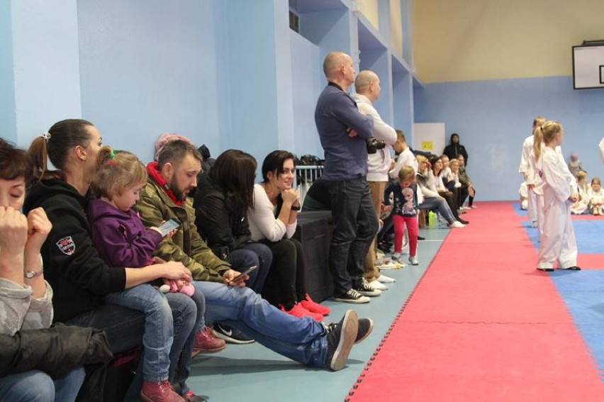 Egzaminy na stopnie uczniowskie w Taekwondo Olimpijskim w Wolsztynie