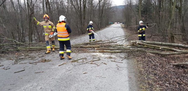 11.03.2019 6:30
Słopnice powalone drzewo na drogę