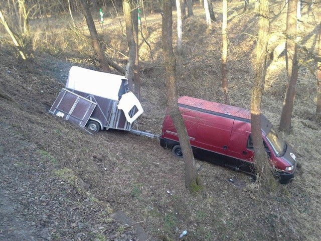 Samochód z koniem wypadł z drogi