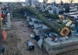Drzewo runęło na cmentarzu w Łabiszynie. Uszkodziło 5 grobów, kto zapłaci za naprawę?