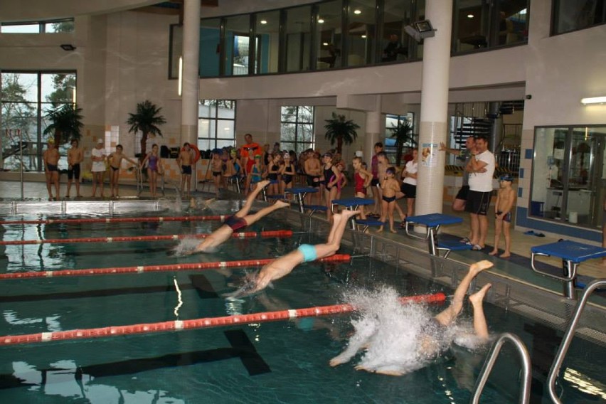 IV zawody pływackie w aquaparku