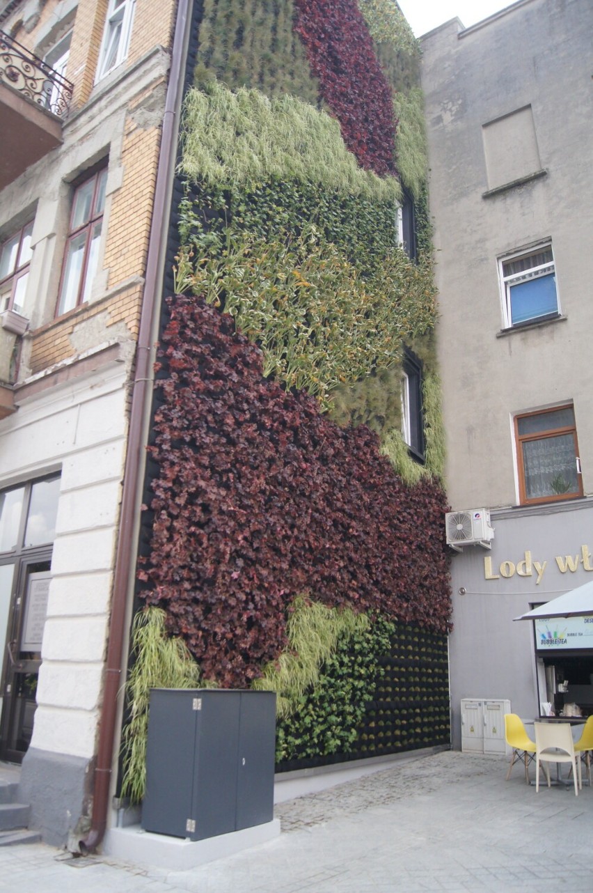 Zielone ściany gotowe. A jak postępują prace na parkingu przy ul. Reymonta w Radomsku. ZDJĘCIA