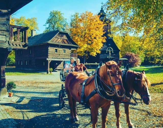 Skansen Wołoski w Rožnovie pod Radhoštěm leży w sercu Beskidu Morawskiego, u podnóża góry Radhošť. Jest największym i najstarszym w swoim rodzaju skansenem w Europie Środkowej. Zapoznaje zwiedzających z tradycyjnymi rzemiosłami, sztuką i zwyczajami ludowymi mieszkańców Wołoszczyzny Morawskiej. Skansen rozkłada się na powierzchni 80 hektarów. Jego najstarszą częścią jest Drewniane Miasteczko,  otwarte dla zwiedzających w roku 1925. Stopniowo przenoszono tam zabytkowe domy mieszkalne z okolicy, budynki gospodarcze, dzwonnice, studnie. Obecnie znajdziemy tu około stu budynków i 137 tysięcy eksponatów. Skansen tętni życiem niemal przez cały rok. Odbywają się tu imprezy folklorystyczne, festiwale i jarmarki.