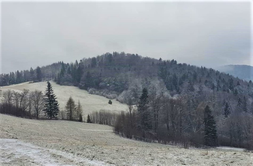 Beskid Sądecki. Piękne widoki zaśnieżonych górskich szlaków. Warto się wybrać tam na wycieczkę [ZDJĘCIA]