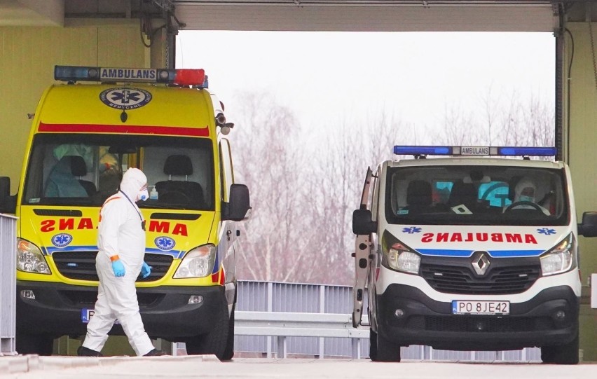 Raport zakażeń SARS-CoV-2 w Tarnowie oraz powiatach:...