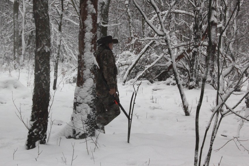 Aktywiści zablokowali polowanie na granicy Bytomia i...