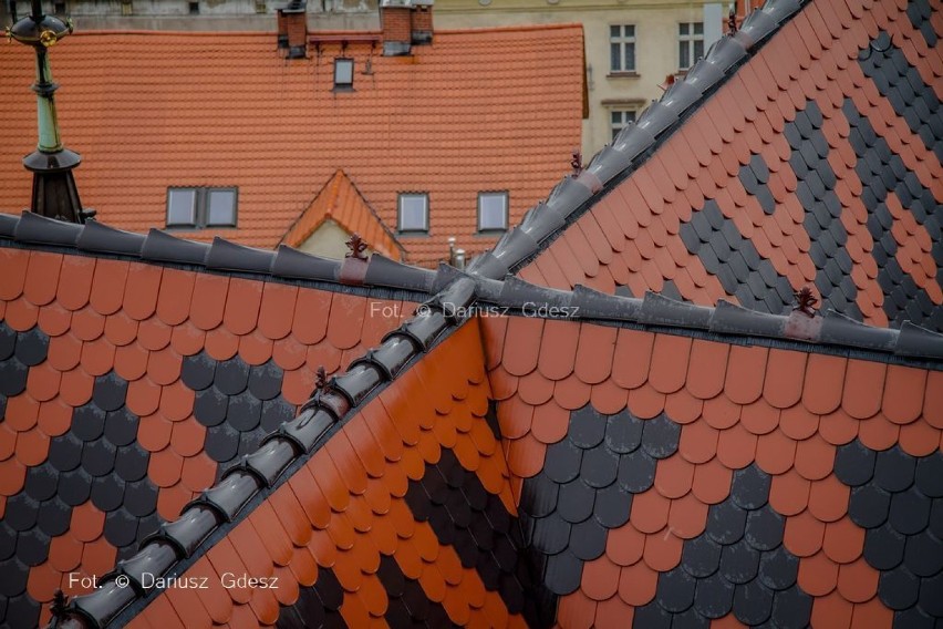 Nad dachami Wałbrzycha. Zobacz miasto z najwyższego punktu [ZDJĘCIA]