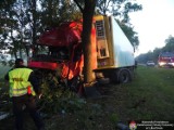 Wypadek w Woli Lisowskiej: Ciężarówka uderzyła w drzewo (ZDJĘCIA)