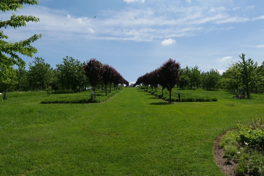 W niedzielę rozpocznie się sezon w Arboretum Wojsławice. Na dzień otwarcia w programie wystawy, koncert, kiermasz i spacer z przewodnikiem