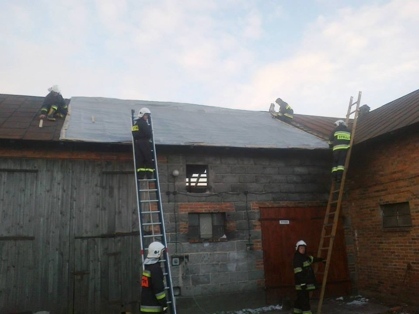 Strażacy z OSP Staw pomagali zabezpieczyć dachy uszkodzone...