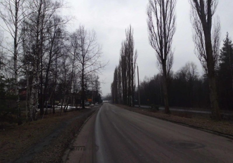Wycinka drzew wzdłuż ulicy Piaskowej w Jaworznie. Będą objazdy