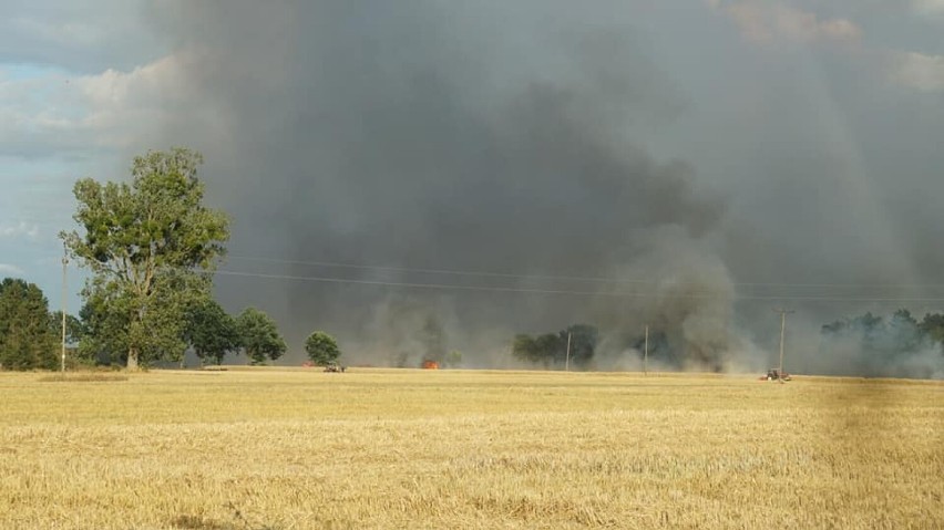 Pożar pola między Siedliskiem i Runowem