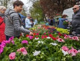 Targ na plantach w Kaliszu. Kupujących nie brakowało. ZDJĘCIA