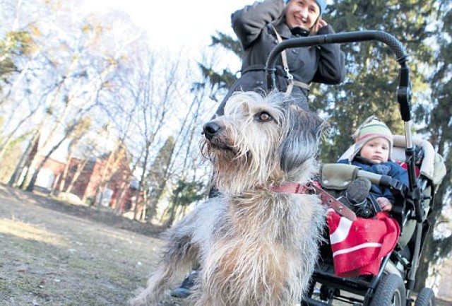 W Szczecinie przybędzie wybiegów dla psów.