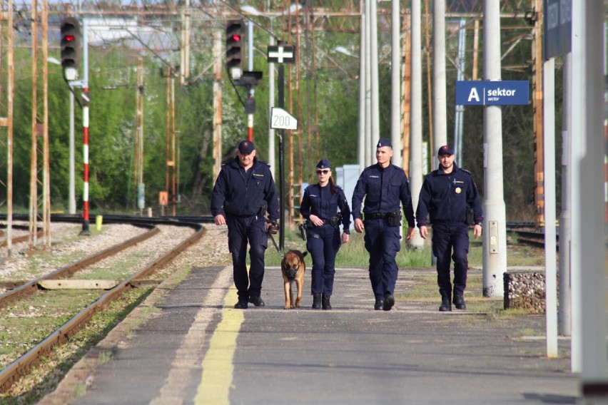 Policja i SOK (Straż Ochrony Kolei) w Tomaszowie na wspólnej akcji pod hasłem RAW (Rail Action Week)
