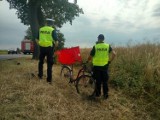 Policja poszukuje świadków tragicznego wypadku na trasie Wągrowiec- Rogoźno 