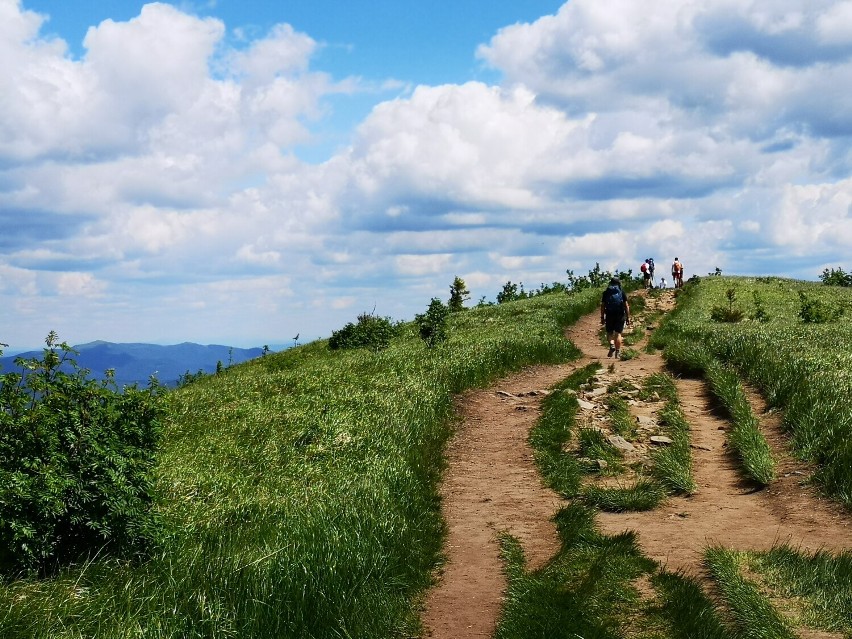 Bieszczady są wiecznie zielone. Długi weekend w obiektywie. Zobaczcie zdjęcia