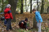 Cytadela w Poznaniu. Dzieciaki z "Łejerów" sprzątają groby [ZDJĘCIA] 