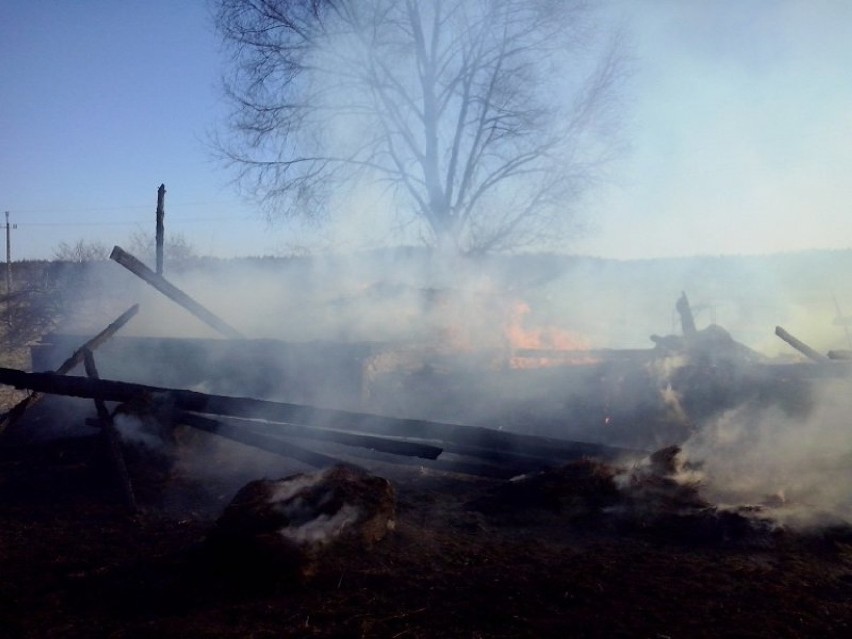 Pożar w Rogalach. Przez wypalanie traw spłonęła stodoła