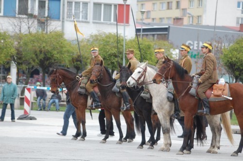 Święto Niepodległości w Oleśnicy