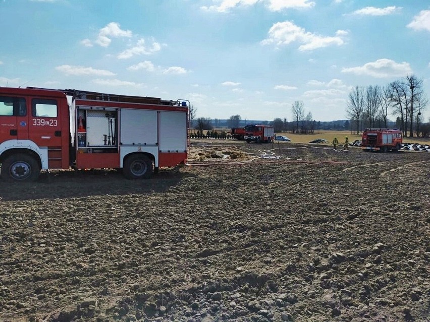 Powiat lubelski. Pożar bel słomy w Nowym Dworze. Z rozprzestrzeniającym się ogniem walczyło 40 strażaków. Zobacz zdjęcia z akcji gaśniczej