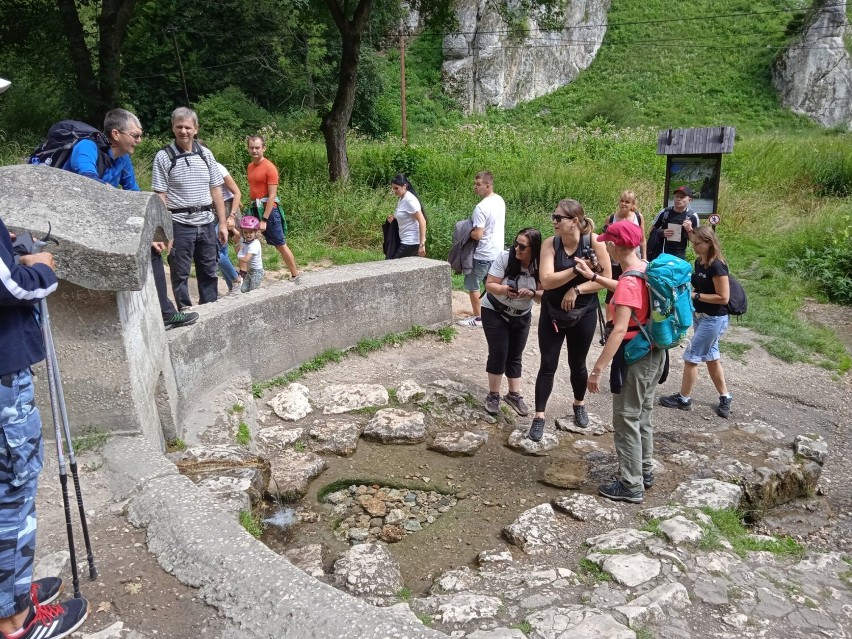 Trekking z MOSiR w Radomsku. Wędrówka po Ojcowskim Parku Narodowym. ZDJĘCIA